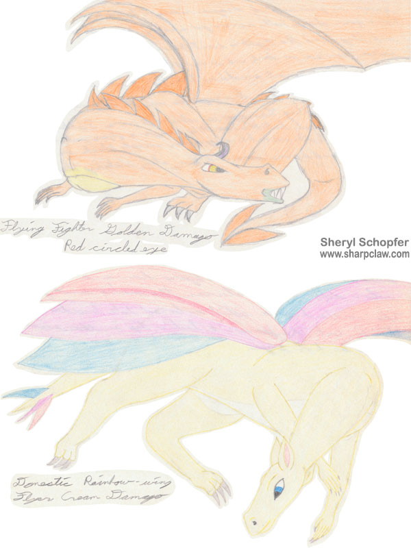 Miscellaneous Art: Damago Dragons