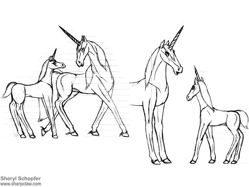 Miscellaneous Art: Unicorn Sketches