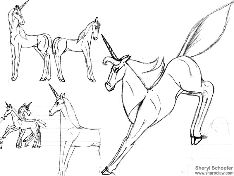 Miscellaneous Art: Unicorn Sketches