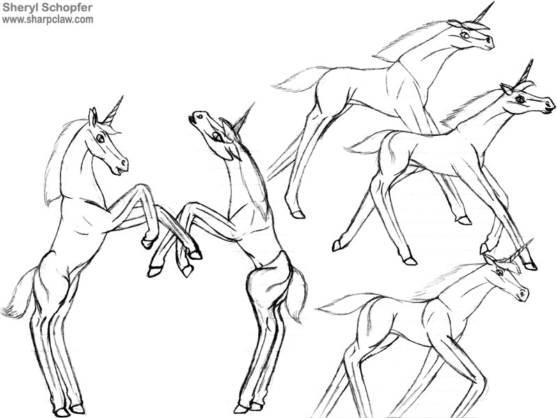 Miscellaneous Art: Unicorn Sketches