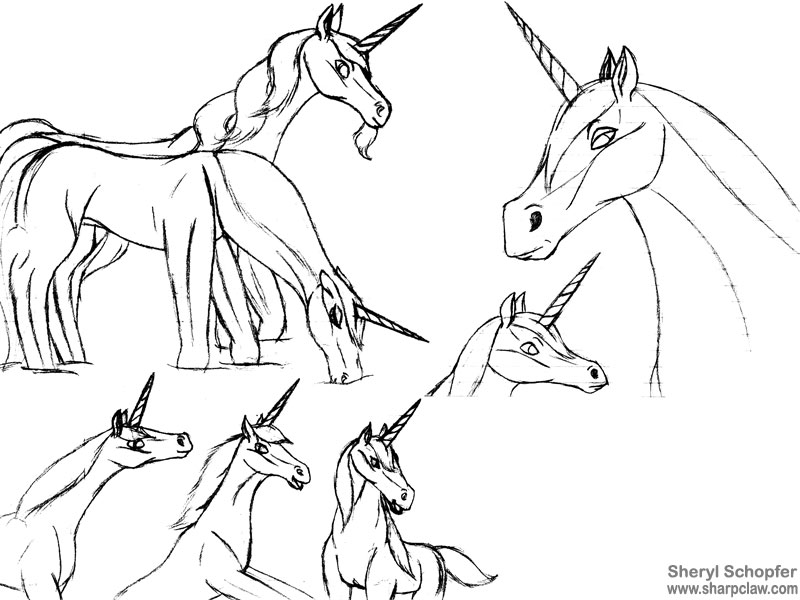 Miscellaneous Art: Unicorn Sketches