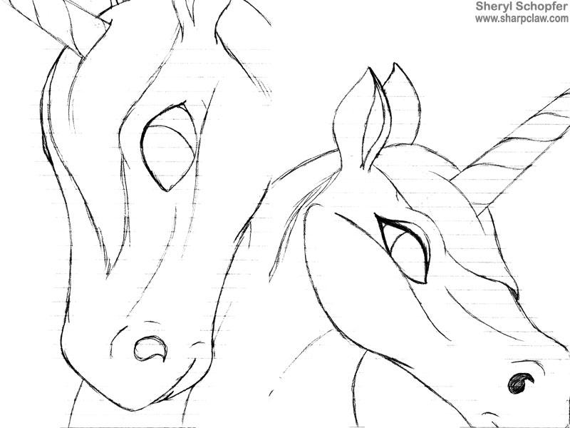 Miscellaneous Art: Unicorn Sketches