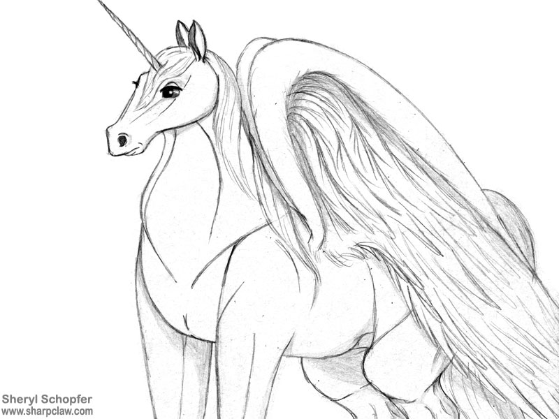 Miscellaneous Art: Alicorn Sketch