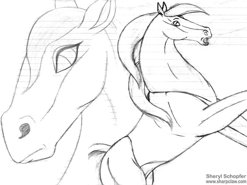 Miscellaneous Art: Unicorn Sketches