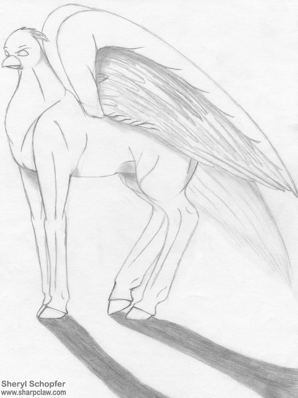 Miscellaneous Art: Hippogriff