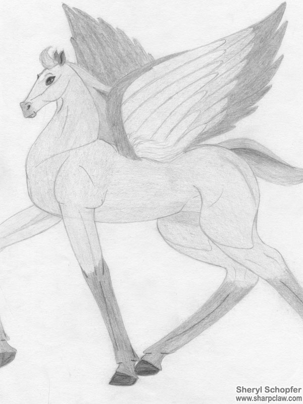 Miscellaneous Art: Winged Foal