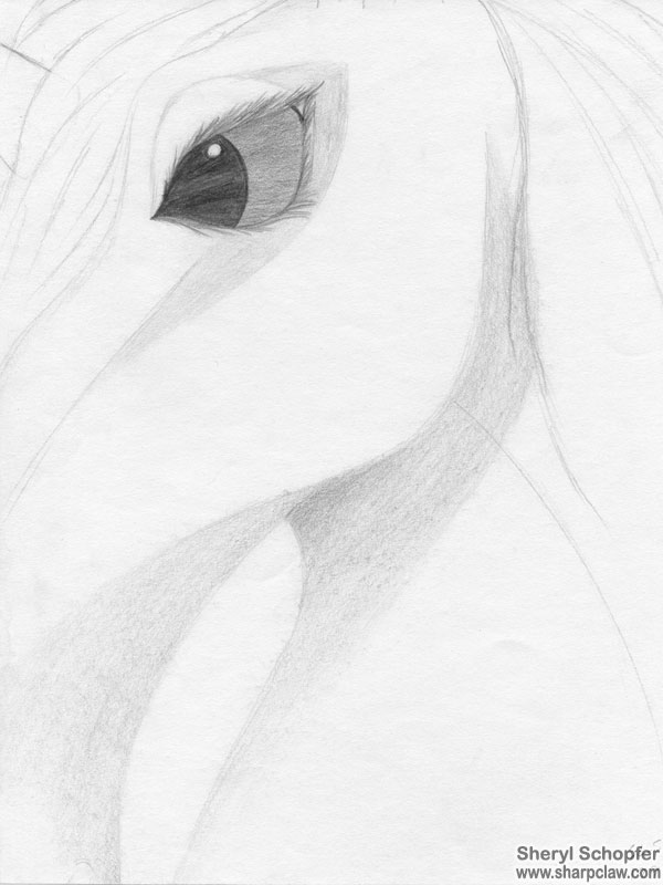 Miscellaneous Art: Unicorn Eye