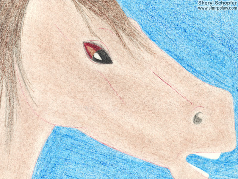 Miscellaneous Art: Annoyed Horse