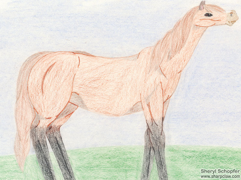 Miscellaneous Art: Brown Horse