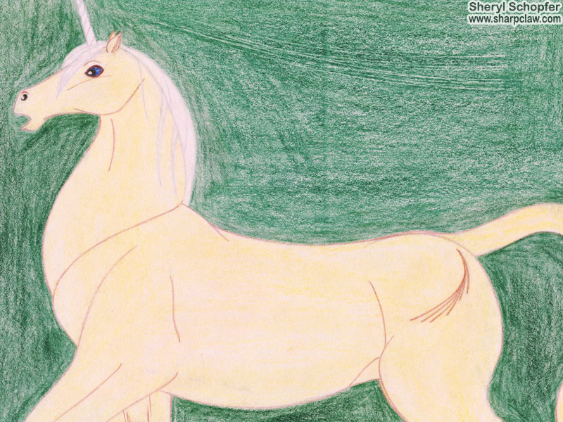 Miscellaneous Art: Palomino Unicorn