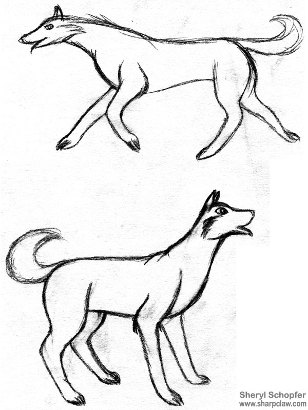 Miscellaneous Art: Dog Sketches