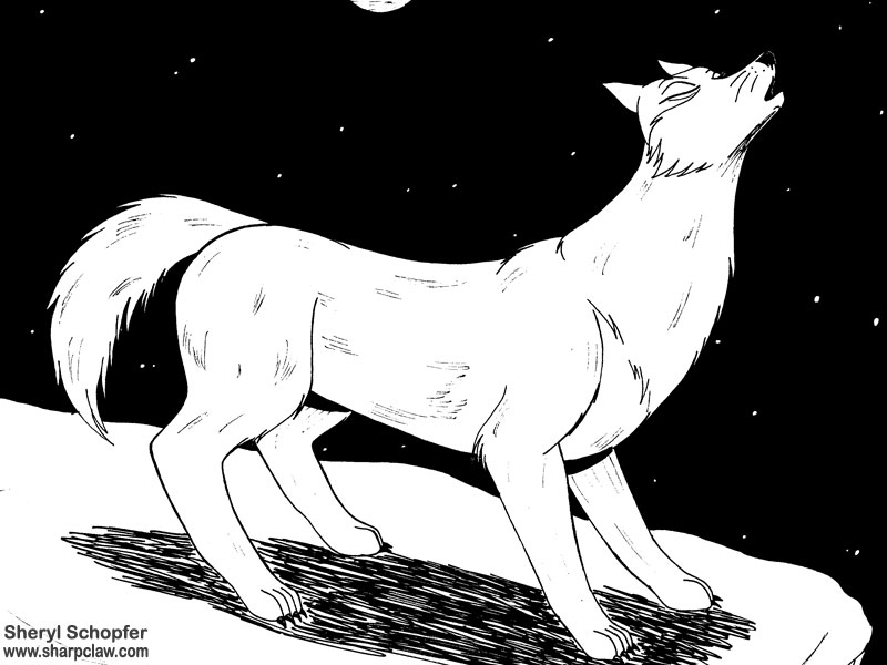 Miscellaneous Art: Howling Wolf