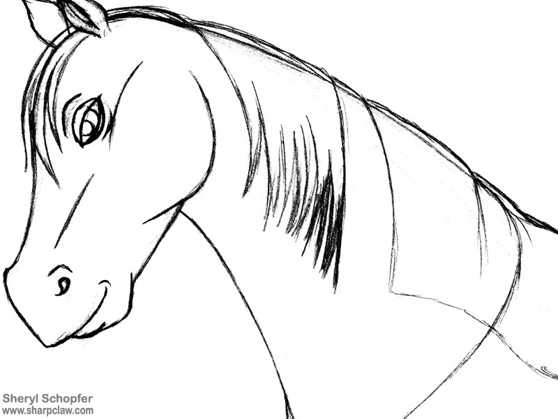 Miscellaneous Art: Smiling Horse