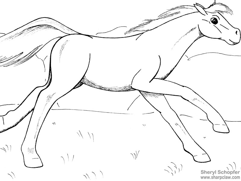 Miscellaneous Art: Yearling Cantor