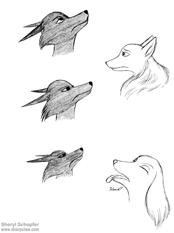 Miscellaneous Art: Dog Expressions