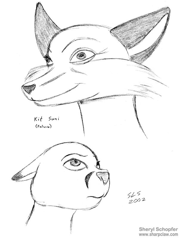 Miscellaneous Art: Fox And Cougar