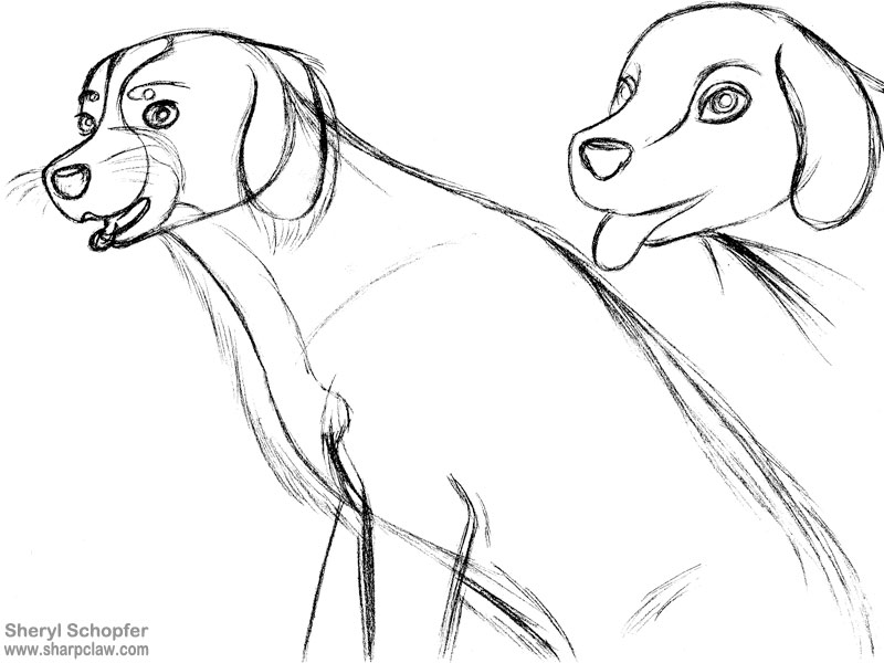 Miscellaneous Art: Dog Sketches