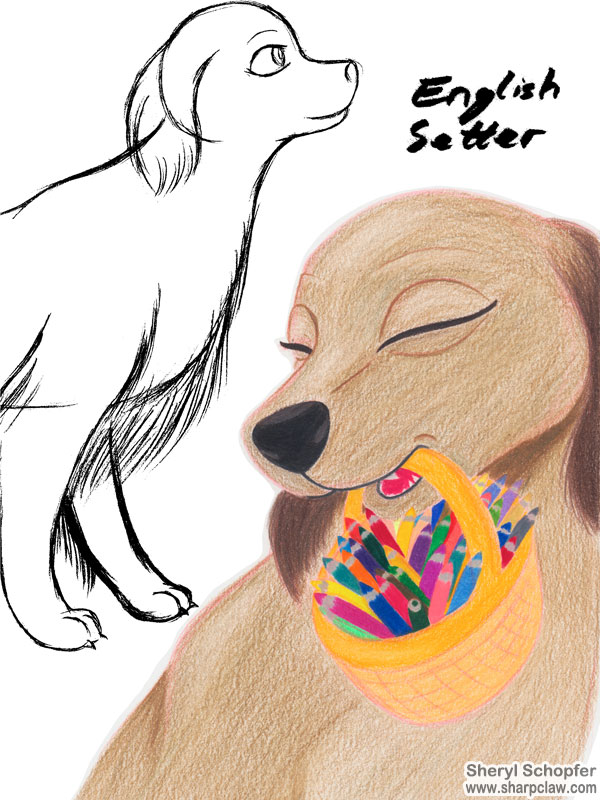 Miscellaneous Art: English Setter