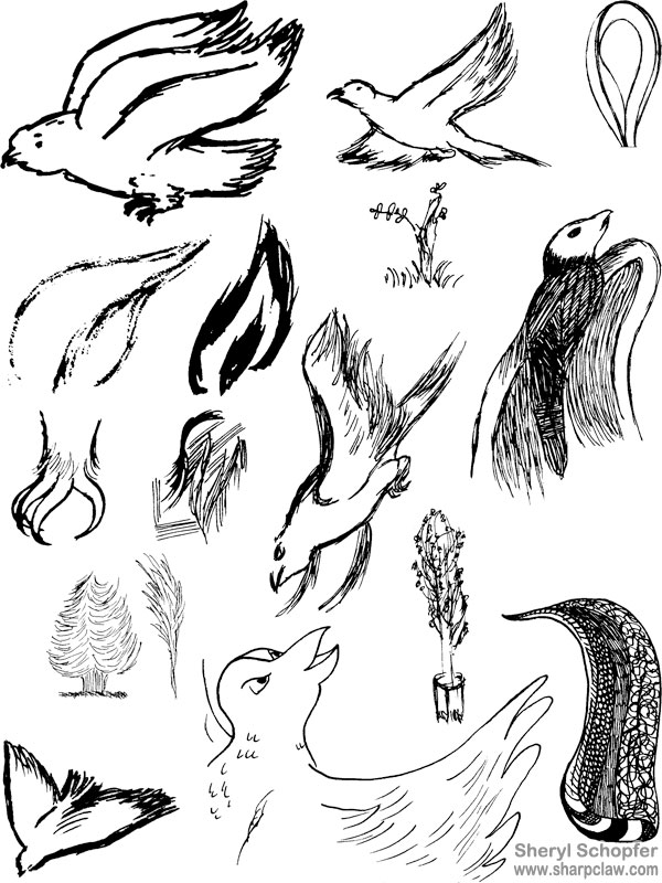 Miscellaneous Art: Bird Doodles