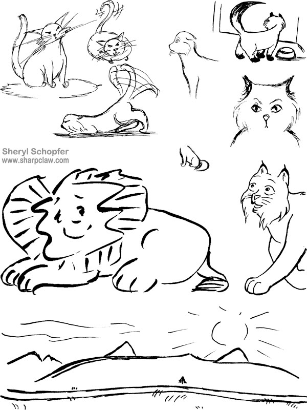 Miscellaneous Art: Cat Sketches