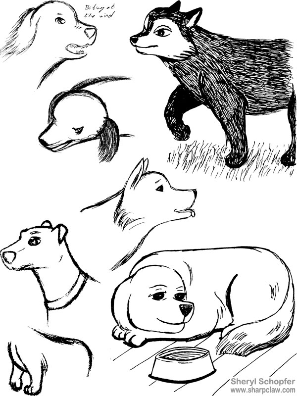 Miscellaneous Art: Dog Sketches