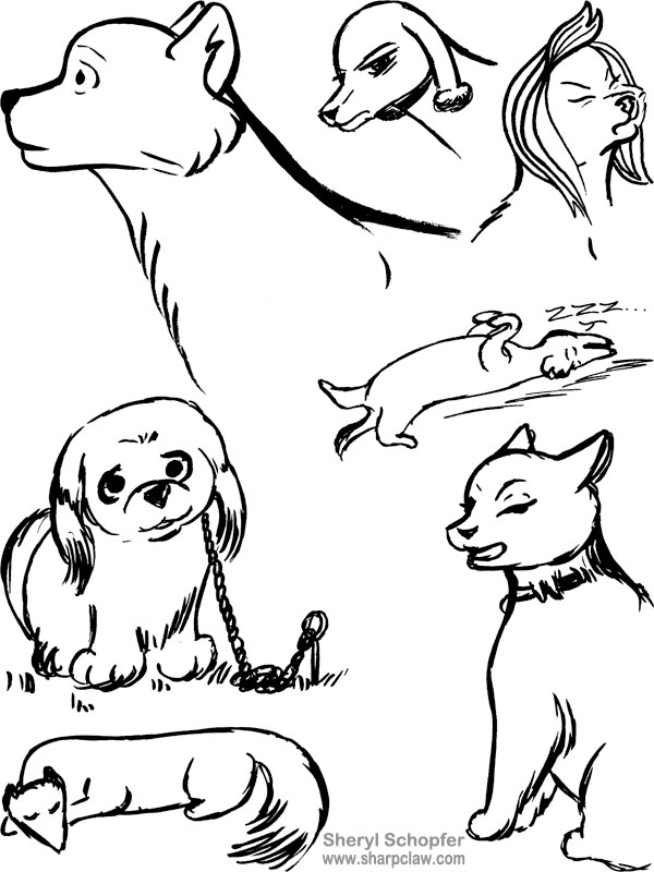 Miscellaneous Art: Dog Sketches