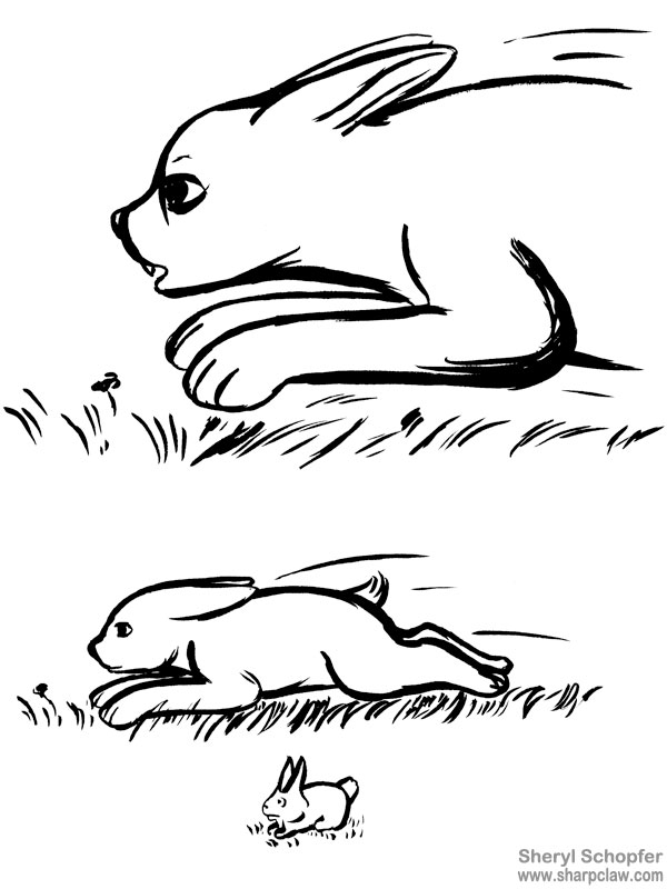 Miscellaneous Art: Rabbit Sketches