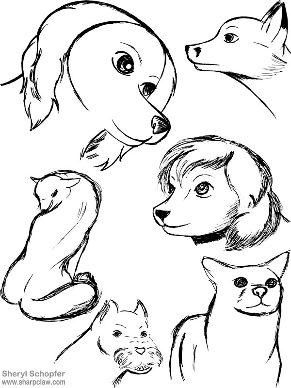 Miscellaneous Art: Dog Sketches