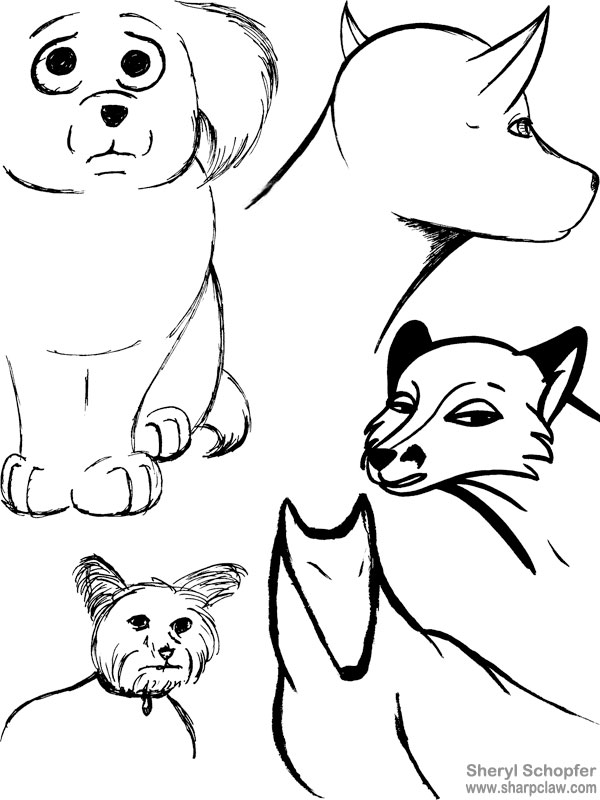 Miscellaneous Art: Dog And Fox Sketches