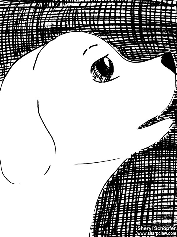 Miscellaneous Art: Dog Sketch