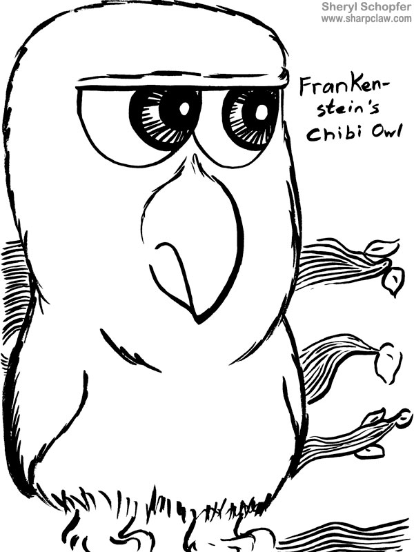 Miscellaneous Art: Weird Owl