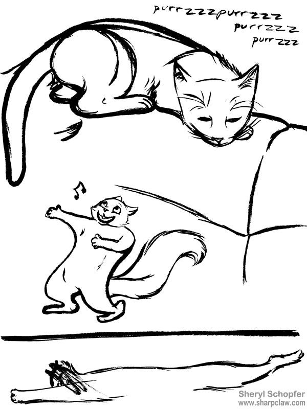 Miscellaneous Art: Cat And Squirrel Sketches