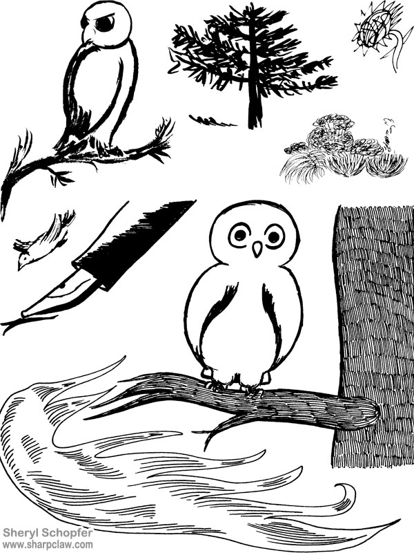 Miscellaneous Art: Owl And Sundry Sketches