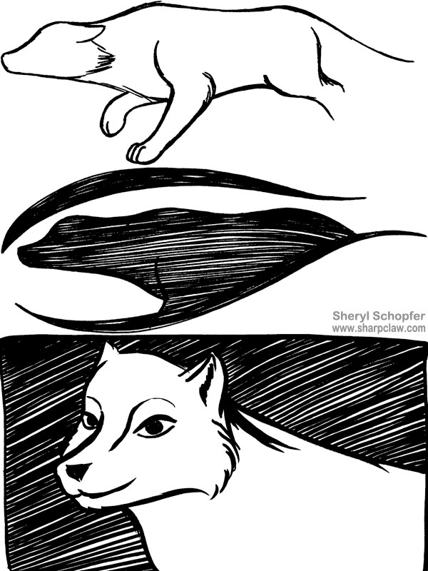 Miscellaneous Art: Fox And Wolf Sketches