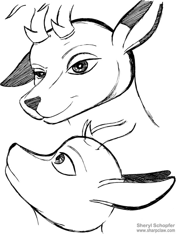 Deer Me Art: Thomas Face Sketches