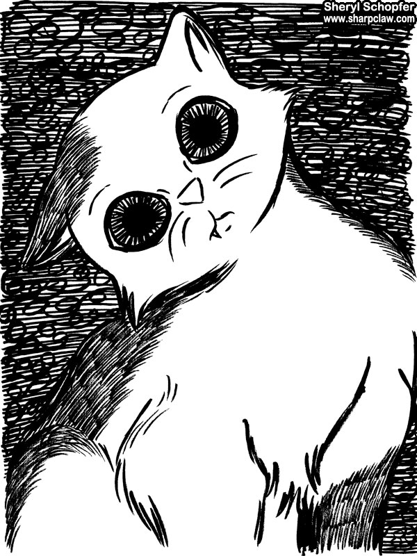 Miscellaneous Art: Cat Sketch