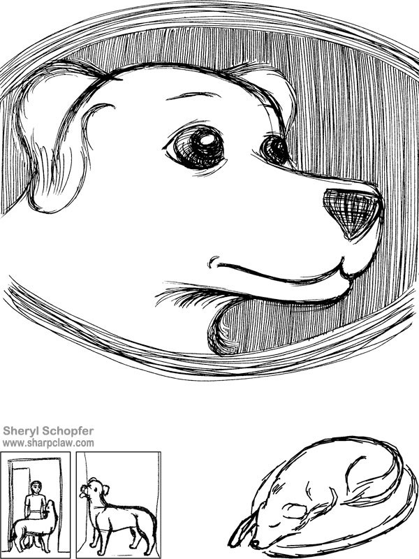 Miscellaneous Art: Dog Sketches