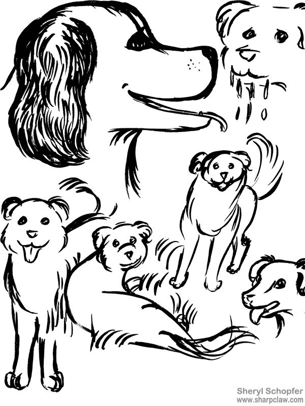 Miscellaneous Art: Fluffy Dog Sketches