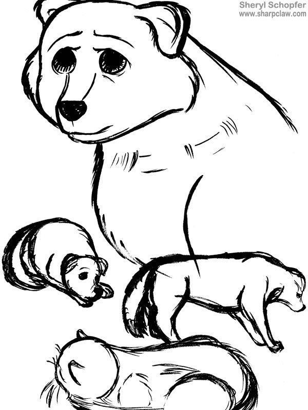 Miscellaneous Art: Dog And Cat Sketches