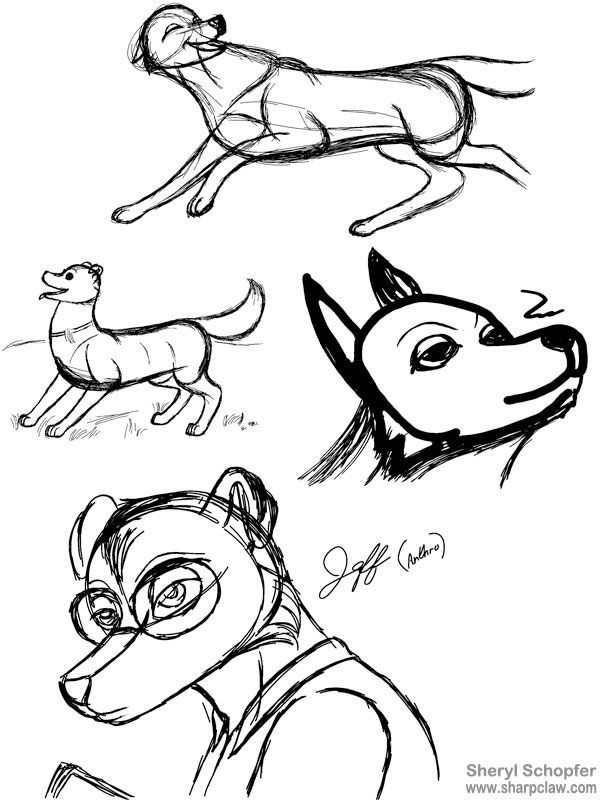 Miscellaneous Art: Dog Sketches