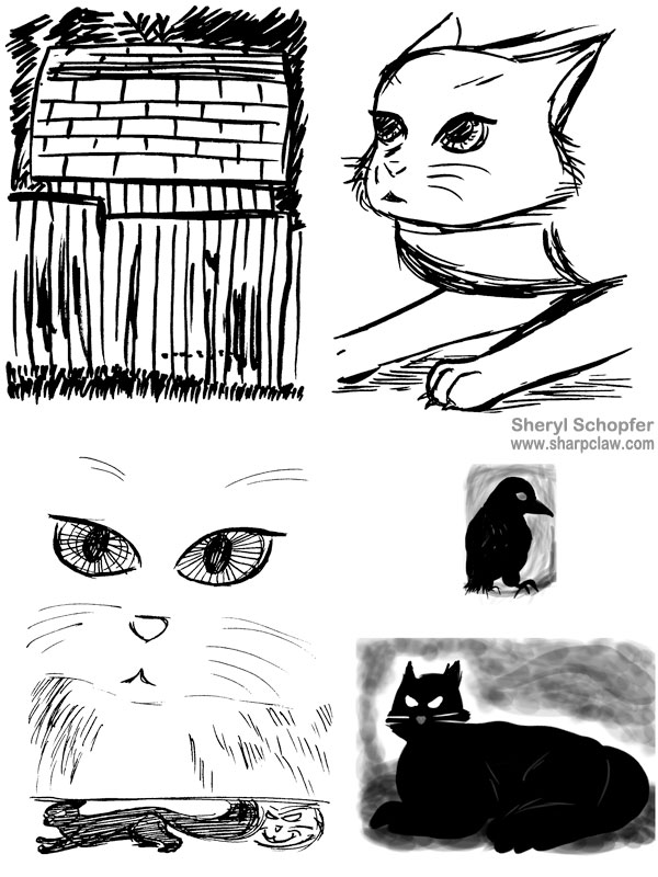 Miscellaneous Art: Cat Sketches