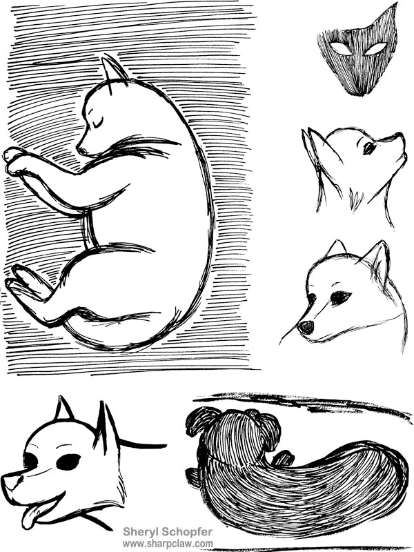 Miscellaneous Art: Dog Sketches