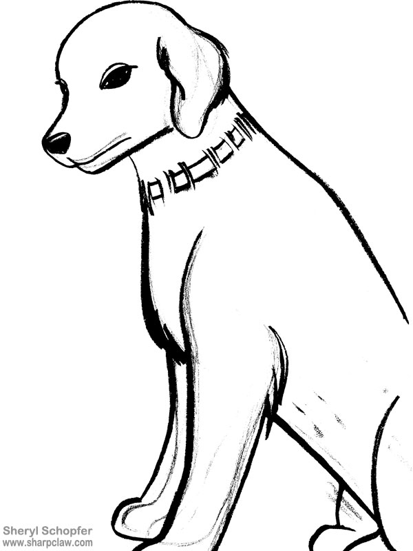 Miscellaneous Art: Dog Sketch