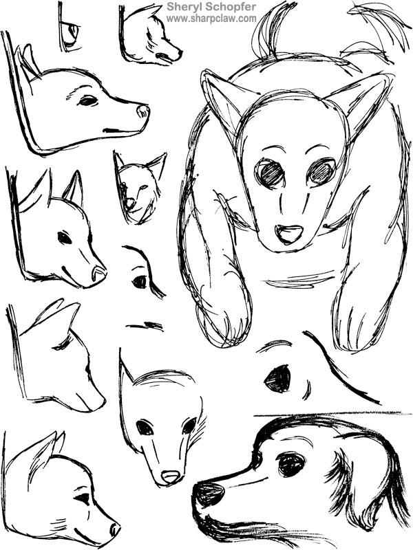Miscellaneous Art: Dog Face Sketches
