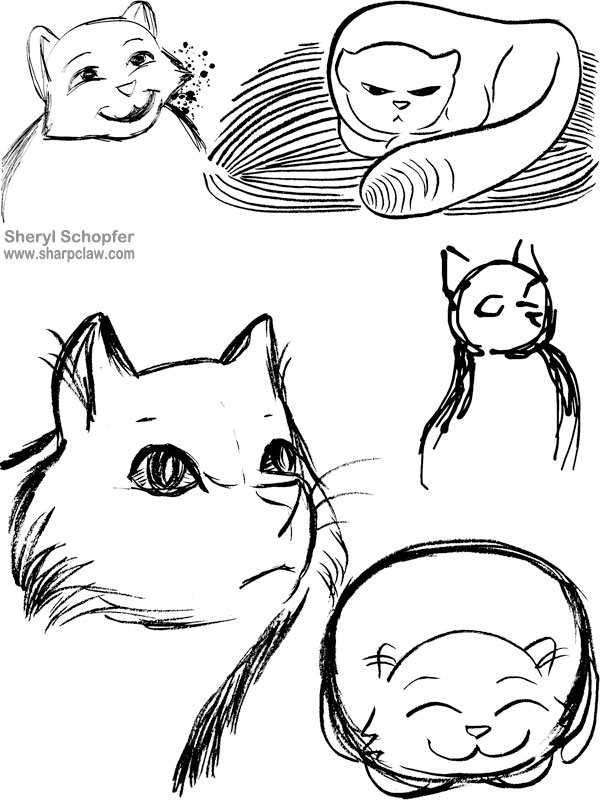 Miscellaneous Art: Cat Sketches