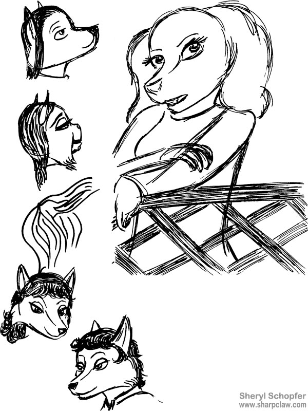 Sharpclaw Art: Face Sketches